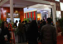 柳巖助陣2013廣東家居精品展揚州首秀 精彩紛呈