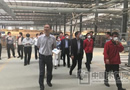 大自然木門江蘇抽查分數最高