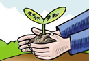 知識產權保護，木門行業不可忽視
