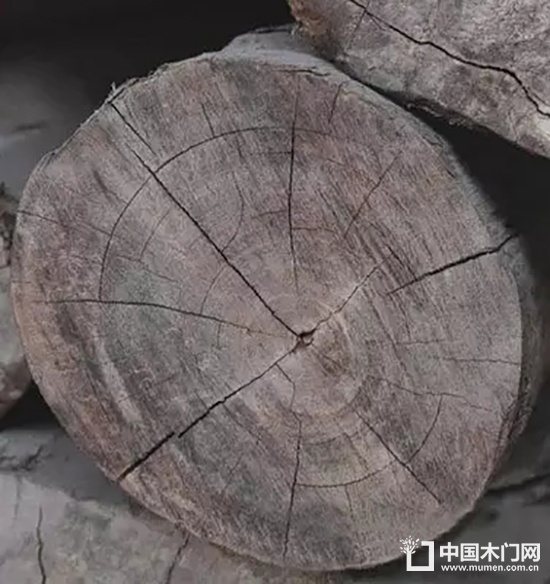 木頭