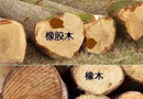 橡木還是橡膠木？差之毫厘，謬以千里