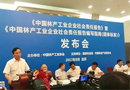 星星集團在人民大會堂發布《中國林產工業協會社會責任報告》做一個對社會有責任有擔當的企業