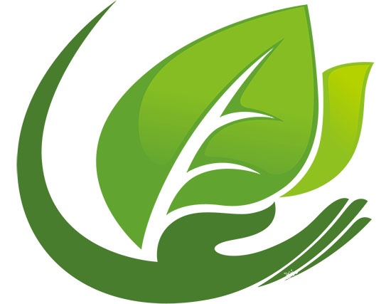 山東出臺政策 木門企業 環保