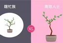 瞎忙，高效，這一年眼看就要結束了，你屬于哪種?