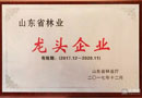 藝格云，2017年山東省林業龍頭企業，未來，我們在等你