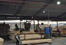 蘇州市開展“兩減六治三提升”專項行動，向太倉市各木材生產(chǎn)企業(yè)發(fā)出限期關(guān)閉撤離告知書