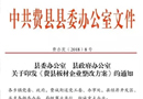 環保局班子對費縣板材企業的整改原則和整改標準