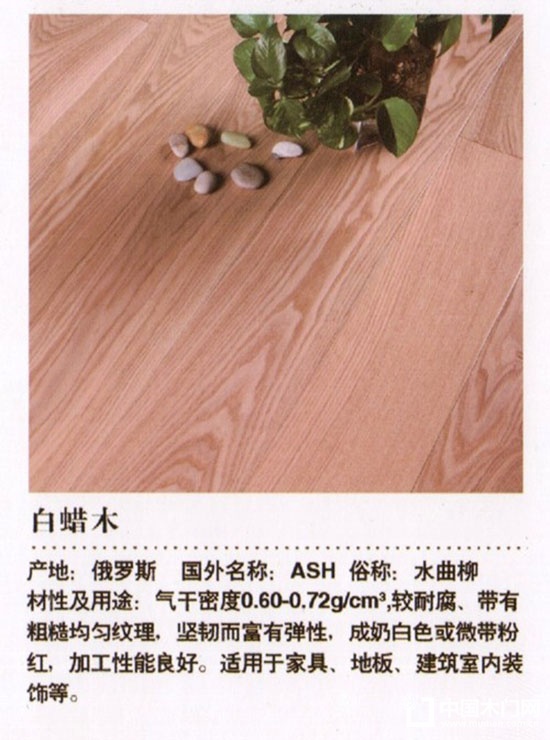 維斯白蠟木地板