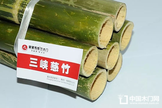 世界竹藤大會