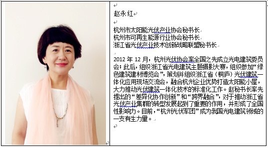 雄安新區光電建筑應用論壇