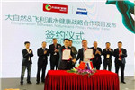 八年磨一劍：大自然家居組合拳戰略頗具成效