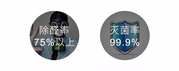 霍爾茨木門