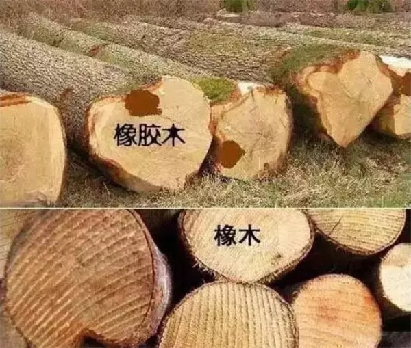 行業規范化建設