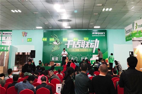 兔寶寶