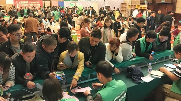 兔寶寶