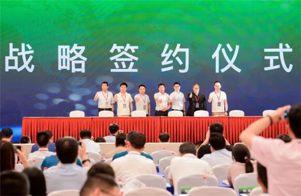  兔寶寶