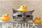   一個門業經銷商寫給某門廠的分手信……