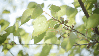 龍陽木門：生活有你 心生歡喜