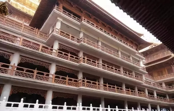 嘉禾定智：號稱“萬木之王，千年不腐”的竟是它！