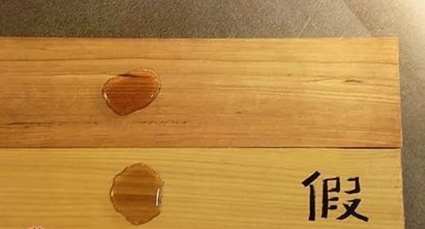 嘉禾定智：號稱“萬木之王，千年不腐”的竟是它！