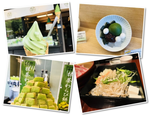 尚佰木門管理精英日本游學之旅圓滿結(jié)束