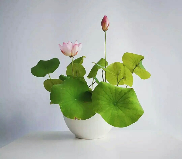 喬金斯整木定制：夏至將至，不負時光不負己