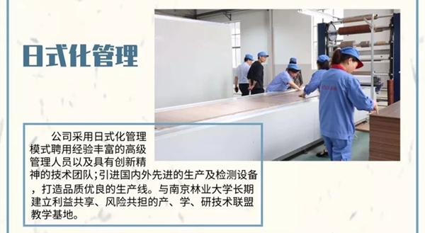 走進金迪木門泗陽工廠，揭開它鮮為人知的故事！