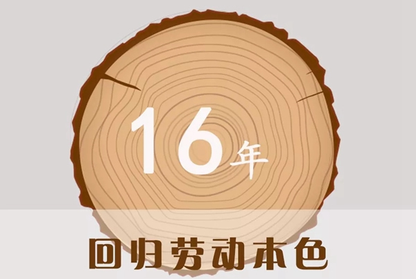 嘉禾定智：16年風風雨雨，回歸勞動本色！