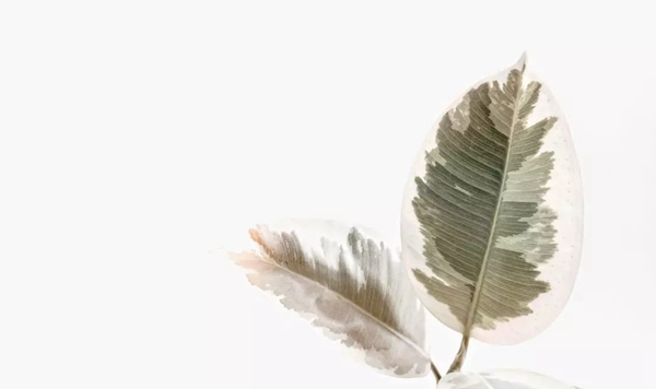 名雅居木門為您解鎖生活的N種可能性！