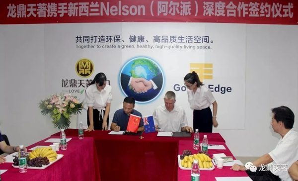 龍鼎天著十五載·用匠心感恩我“門”相遇！