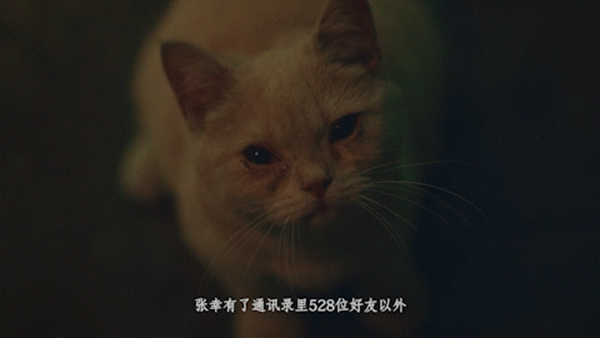 鑫迪木門安家節特輯：萬家燈火里的空巢青年