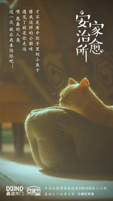 鑫迪木門安家節特輯：萬家燈火里的空巢青年