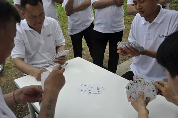 美固門窗2019春游團建活動圓滿結束，不負芳華不負卿！