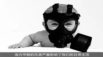 馬格德木門：甲醛！你了解過么？
