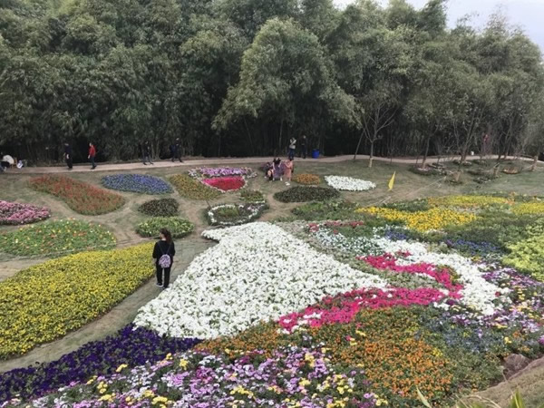 宜居木門“春回大地 走馬觀花”2019員工生日會圓滿落幕！