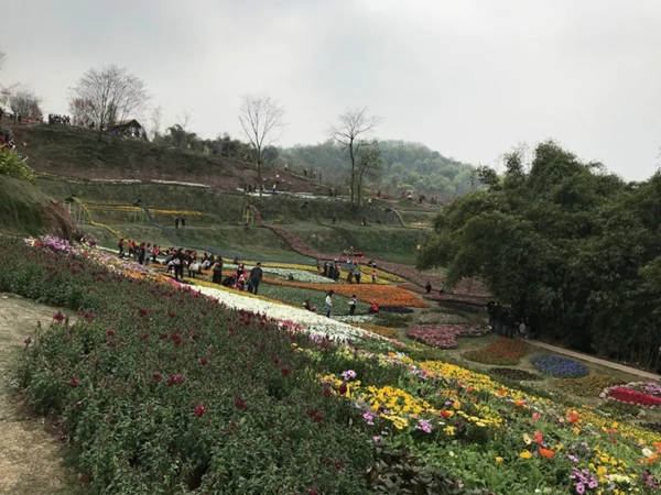 宜居木門“春回大地 走馬觀花”2019員工生日會圓滿落幕！