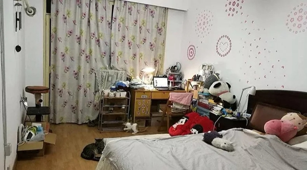 展志天華全屋定制是首選，避免家裝走彎路！