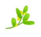 佰葉薈全屋定制讓源于大自然的家居走進(jìn)你的家！