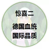 品橋T型木門315爆款特價活動火爆開啟！