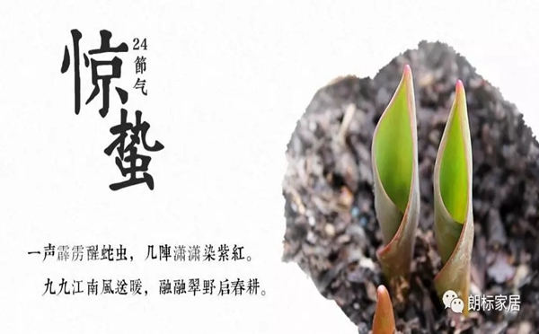 驚雷起 萬物醒 朗標家居的春天！