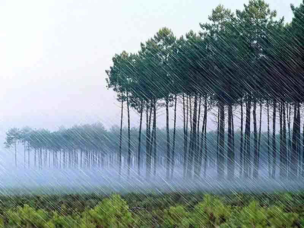 雨季來臨了，你準備好了嗎?
