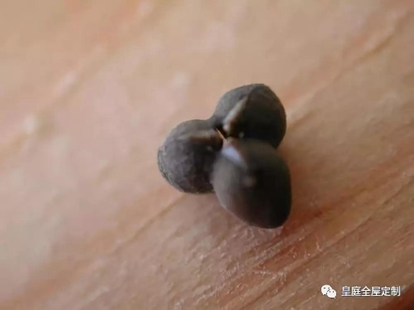 皇庭莊園全屋定制：2018最受歡迎的顏色排行榜，你一定不能錯(cuò)過(guò)
