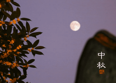 中秋佳節喜相逢 九重門業祝大家節日快樂