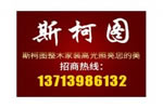 斯柯圖怎么樣