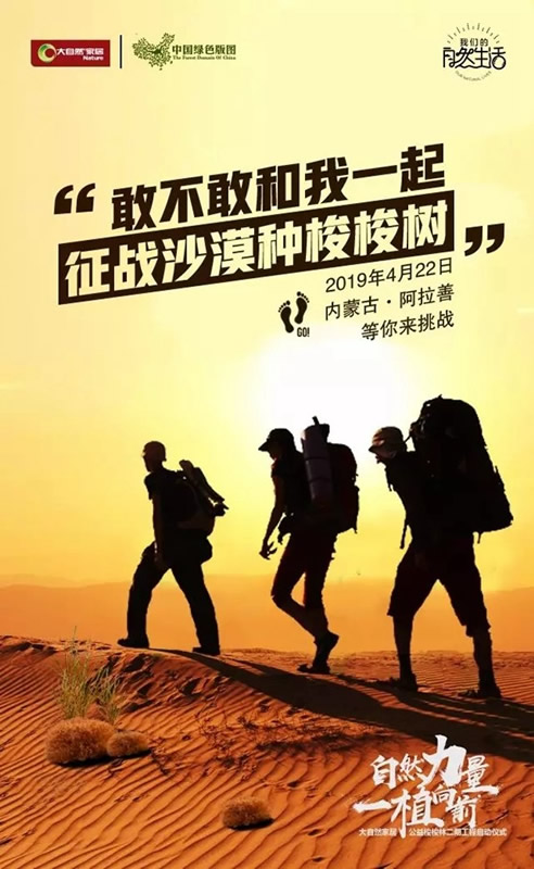 大自然家居：敢與我一起征戰沙漠種梭梭樹嗎？