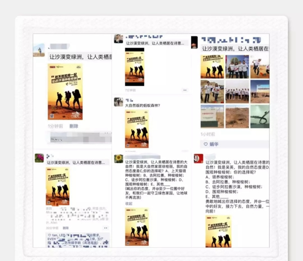 大自然家居：敢與我一起征戰沙漠種梭梭樹嗎？