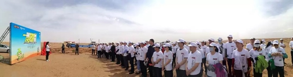 大自然家居：敢與我一起征戰沙漠種梭梭樹嗎？