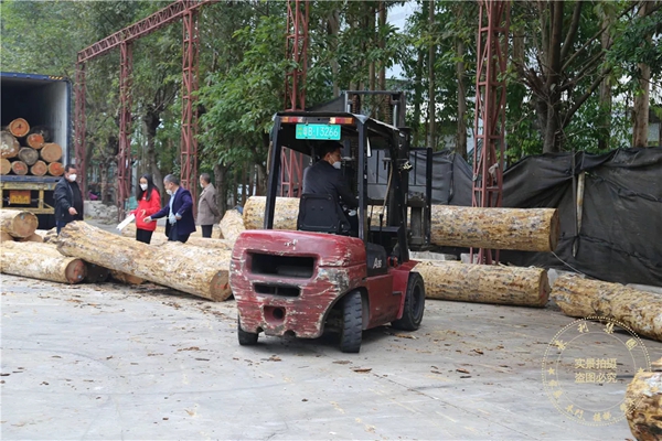 豪利整木定制：第一批北美櫻桃原木順利抵達工廠總部 來看看吧