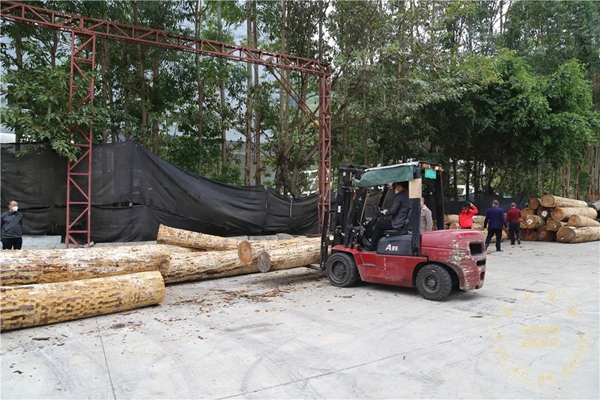 豪利整木定制：第一批北美櫻桃原木順利抵達工廠總部 來看看吧