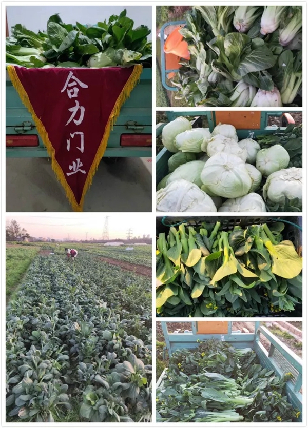 合力門業：疫情之下，合力經銷商有態度，有溫暖，有故事